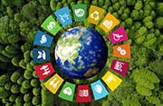 Com aplicar l¿Agenda 2030 de Nacions Unides per al desenvolupament local: territori, identitat i sostenibilitat