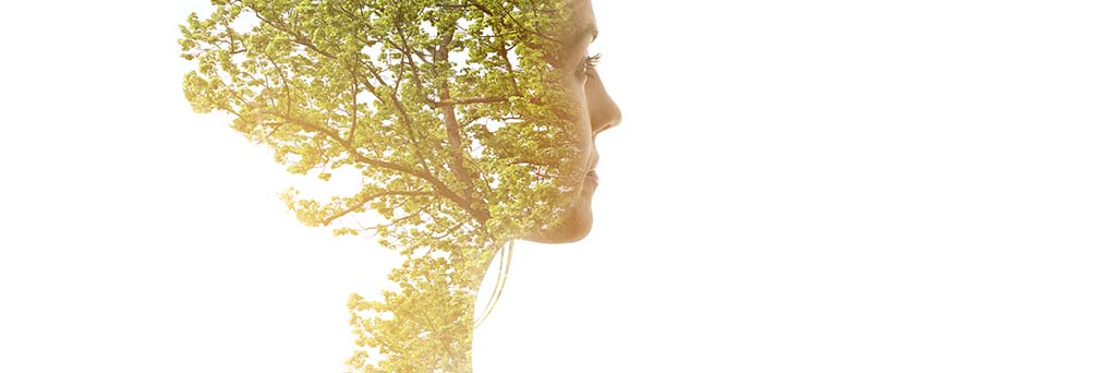 Ecofeminismos para construir futuros
